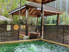 -春晖园度假酒店温泉