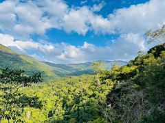 -海南霸王岭国家森林公园