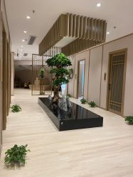 -HQ半永久纹绣纹眉