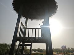 -金卉庄园