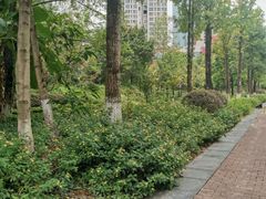 -重庆彩云湖湿地公园
