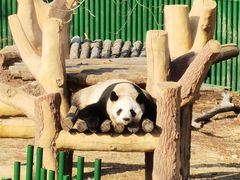 -沈阳森林动物园