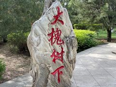 -大槐树寻根祭祖园