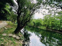 -贵阳市花溪国家城市湿地公园