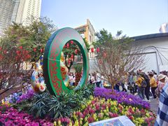 -越秀西湖花市(广州城市广场花卉店)