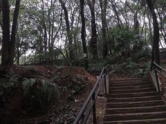 -马王堆汉墓遗址