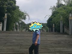 -铁山坪森林公园