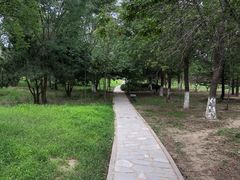 -绿堤公园
