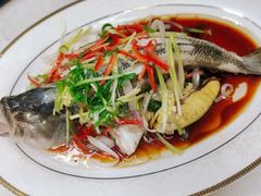 -天鹅到家·保姆月嫂育儿嫂(蔚蓝海岸店)