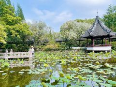 -上海醉白池公园