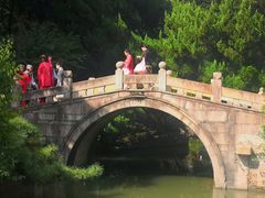 -上海醉白池公园