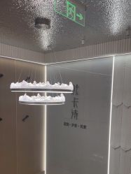 -杜卡诗salon