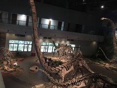 -自贡恐龙博物馆