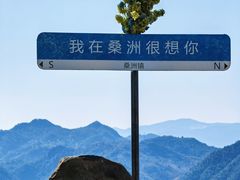 -桑洲油菜花景区