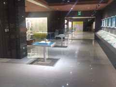 -青岛贝壳博物馆