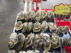 -蚝专家(北滘店)