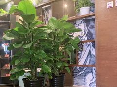 -大鸭梨(天通西苑店)