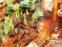 -师烤·豆花烤鱼(广州荔湾扬韬广场店)