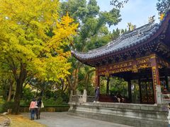 -汇龙潭