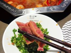 -蜀九香火锅(九眼桥店)