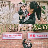 厦门，我们来了（亲子游）