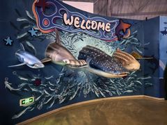 -烟台海昌鲸鲨海洋公园