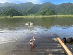 -大九湖