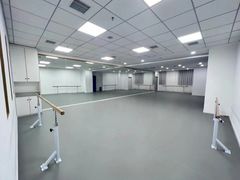 -西安小天鹅艺术团(金花路校区)