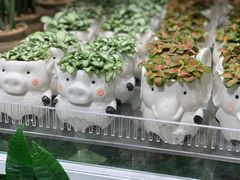 -KKV(重庆光环购物公园店)