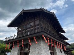 -大唐贡茶院