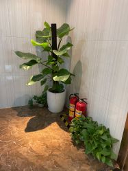 -丽美妍医疗美容·皮秒·立体分层抗衰