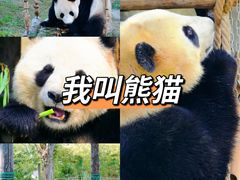 -上海野生动物园