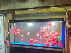 -臻享养生·SPA·影院式足道(汇臻店)