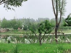 -东郊湿地公园