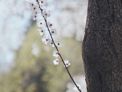 -山东师范大学(千佛山校区)