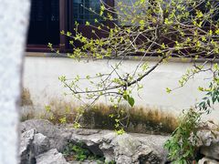 -艺圃