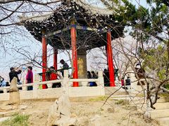 -桃花堤公园