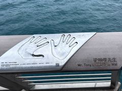 -星光大道