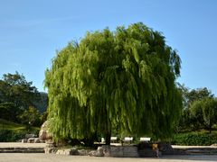 -北京西山国家森林公园