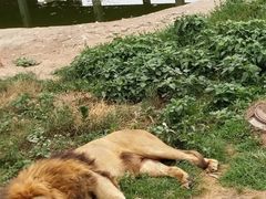 -西安秦岭野生动物园