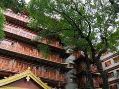 -大佛寺高级素食自助餐厅