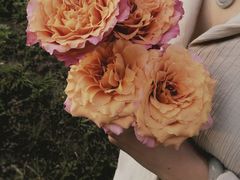 -回龙观体育文化公园