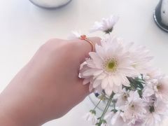 -荷花泰菜(东方新天地店)