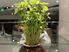 -泉上·发现DISCOVERY ·黔菜餐厅(银海元隆广场店)