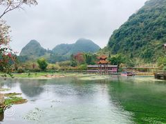 -靖西鹅泉风景区