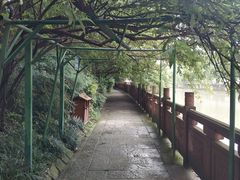 -成都市活水公园