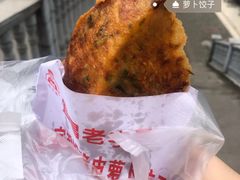 -半月镰胡姐脆皮萝卜饺子