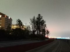 -星光岛