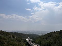 -大青山野生动物园