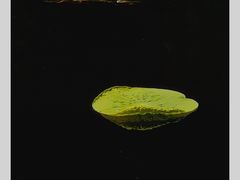 -西南交通大学(九里校区)